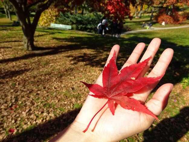 Provigil canada