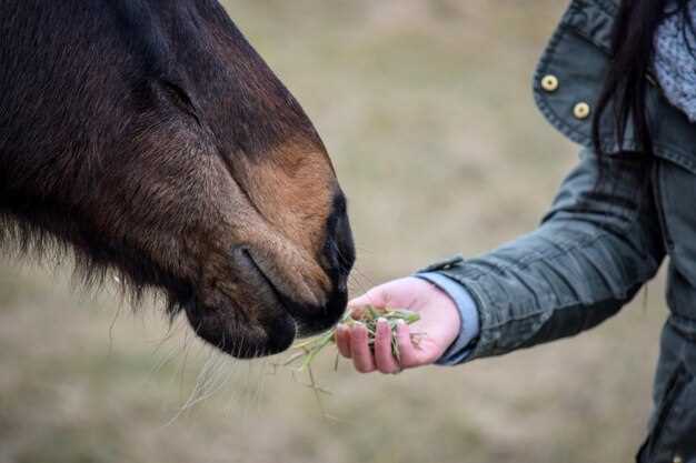 Exact 0.85 mg/kg Dose Chart: Plug-in Your Horse’s Body Weight, Get Milliliters in 5 Seconds–No Math Degree Needed