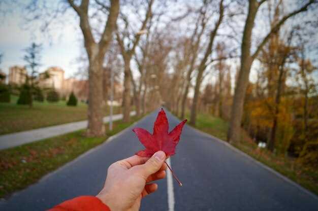 6. Use the Trillium surplus if you’re just over the income line