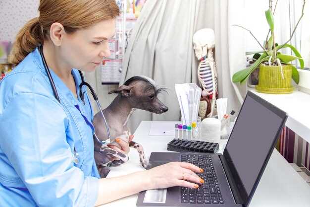 Veterinary provigil